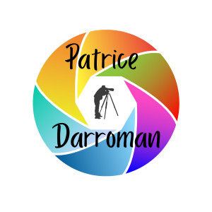 Darroman - ARTACTIF