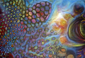 Œuvre contemporaine nommée « Féconde et vivifiante union d'un insecte et d'une divinité... », Réalisée par SERGE RAMOS