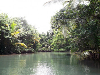 Œuvre contemporaine nommée « La rivière des Indiens des Caraïbes 2 », Réalisée par SEIDITADENISEART