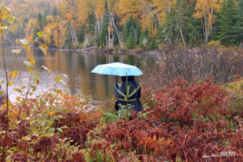 Œuvre contemporaine nommée « LE PARAPLUIE BLEU », Réalisée par JEAN-MARC PHILIPPE