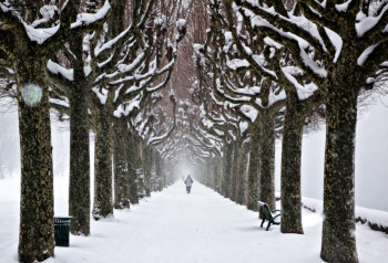 Œuvre contemporaine nommée « Ballade sous la neige », Réalisée par NICOLAS LHOTEL