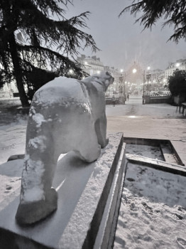 Œuvre contemporaine nommée « L'Ours en Balade », Réalisée par DENIS PHOTOGRAPHY