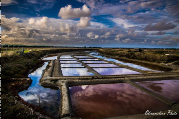 Œuvre contemporaine nommée « Marais d'été », Réalisée par OLICAMéLéON PHOTO