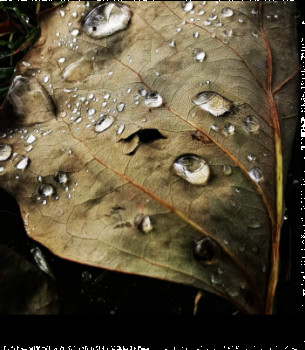 Œuvre contemporaine nommée « Goutte d'eau », Réalisée par LILA SAN