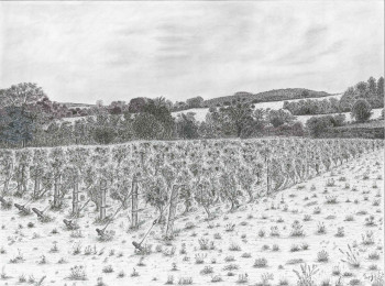 Œuvre contemporaine nommée « Carré de vignes à Givry », Réalisée par MSGAYRAL'ART