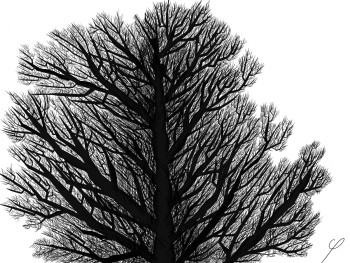 Œuvre contemporaine nommée « Arbre », Réalisée par STYLOBICMICRON