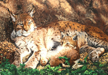 Œuvre contemporaine nommée « Lynx de sibirie », Réalisée par JULIAN WHEAT