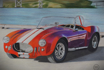 Schelby Cobra (427) Sur le site d’ARTactif