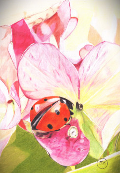 Coccinelle Sur le site d’ARTactif