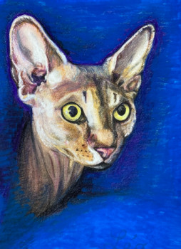 Œuvre contemporaine nommée « Le Chat », Réalisée par MYCY