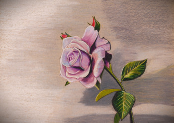 Une simple rose Sur le site d’ARTactif