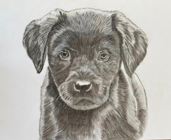 Œuvre contemporaine nommée « Chiot Labrador Chocolat », Réalisée par LES PORTRAITS DE TOSCANE