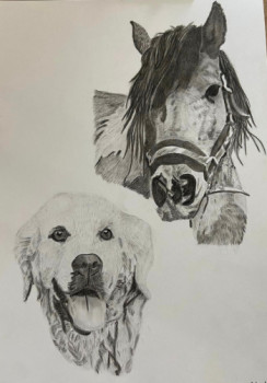 Œuvre contemporaine nommée « Duo poney/golden retriever », Réalisée par LES PORTRAITS DE TOSCANE