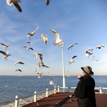 Œuvre contemporaine nommée « L'homme et les mouettes », Réalisée par ALAIN MACHELIDON