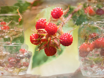 Œuvre contemporaine nommée « Himbeeren », Réalisée par KARL-DIE BILDERMACHERIN