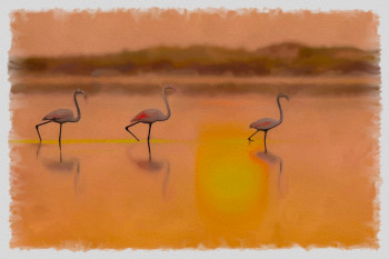 flamands roses Sur le site d’ARTactif