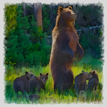 Yellowstone la famille grizzly Sur le site d’ARTactif