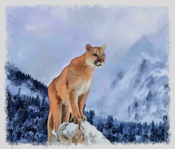 puma a Yellowstone Sur le site d’ARTactif