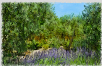 lavande en Provence Sur le site d’ARTactif