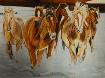 Chevaux libres Sur le site d’ARTactif