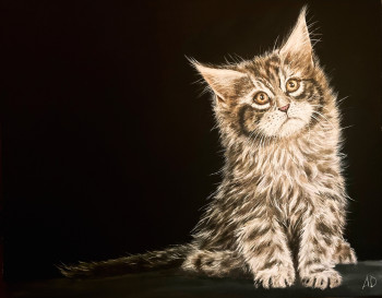 Œuvre contemporaine nommée « Bébé main coon », Réalisée par ANGEL’ART