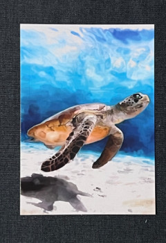 Œuvre contemporaine nommée « Charlotte la tortue », Réalisée par DOMINIQUE DULOT DIGITAL