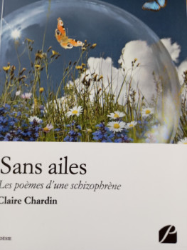 Œuvre contemporaine nommée « Sans ailes, les poèmes d'une schizophrène. », Réalisée par CHARDIN CLAIRE