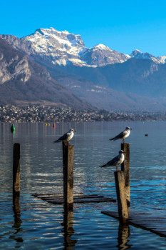 Œuvre contemporaine nommée « Vue du lac », Réalisée par CRéACLIC