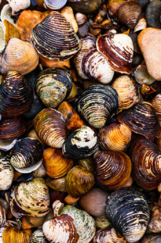 Œuvre contemporaine nommée « Bord de mer », Réalisée par CRéACLIC