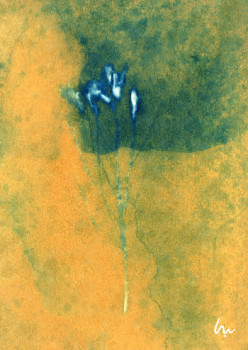 Œuvre contemporaine nommée « Cyanotype sur papier d'Art », Réalisée par MAUD VEUILLOTTE