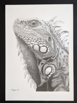 Œuvre contemporaine nommée « Iguana », Réalisée par MAGALIE. M