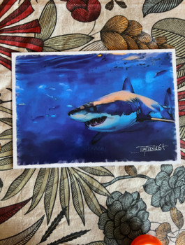 le grand requin blanc Sur le site d’ARTactif