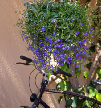 Œuvre contemporaine nommée « La fleur bleue et la bicyclette », Réalisée par FRANçOISE MIRAY