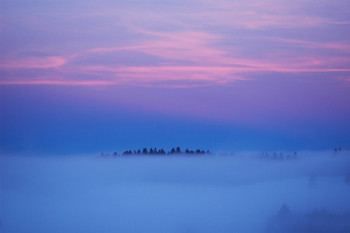 Œuvre contemporaine nommée « Matin rose et bleu », Réalisée par JEAN-BERNARD VUILLE