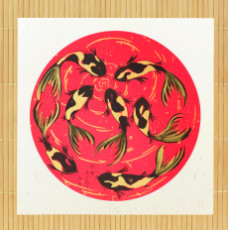 golden-koi-fish-shoal