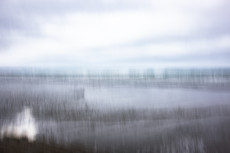 blurry-sea-ii