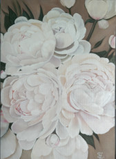 pivoines-blanches