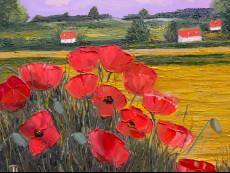 paysage-rural-avec-des-coquelicots