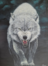 loup-blanc