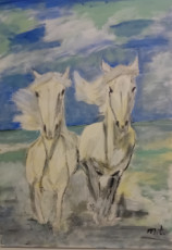 les-chevaux