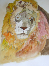 lion