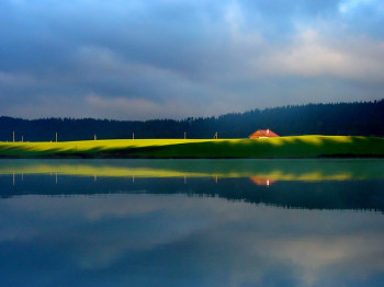 Œuvre contemporaine nommée « Le ciel, l'herbe et l'eau », Réalisée par JEAN-BERNARD VUILLE